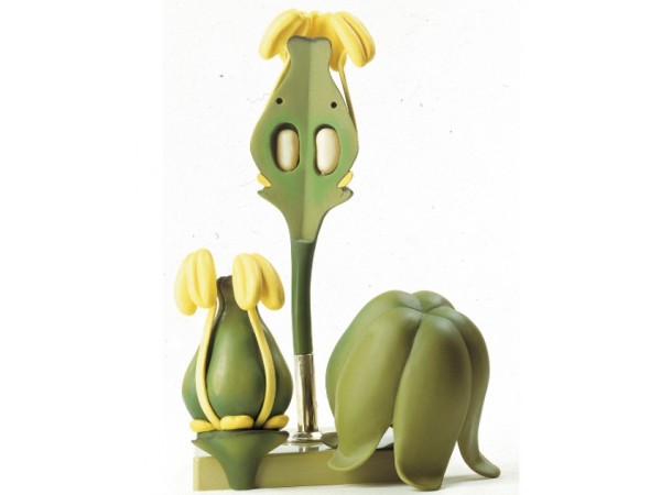 Model Bloem van de Wijnstok Model Bloem van de Wijnstok