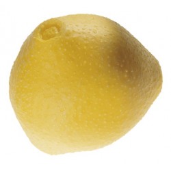 Model Stuifmeelkorrel Hazelaar