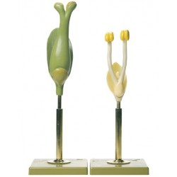 Modellenset Wilgenbloemen