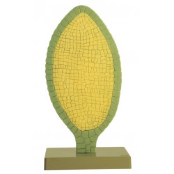 Parapluutjesmos Model, antheridium