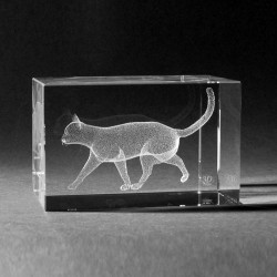 3D Glasblok Kat
