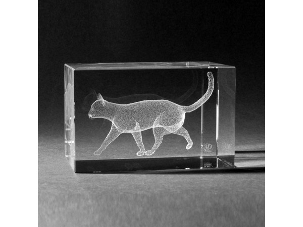 3D Glasblok Kat 3D Glasblok Kat