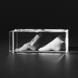 Voet en Voetskelet Glasblok