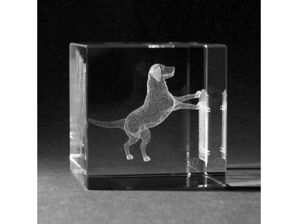 Glasblok Hond