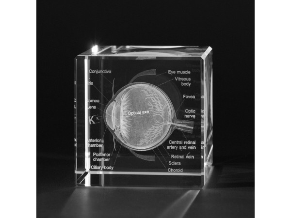 3D Glasblok Oog 