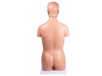 Geslachtsloos Torso Model, 12-delig