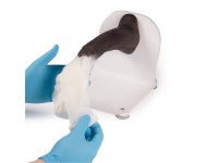 Bandage Trainer Hondenpoot