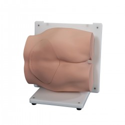 Beenmergbiopsie Vaardigheidstrainer