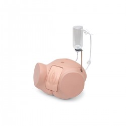 Pro Katheterisatie Simulator Vrouw Pro Katheterisatie Simulator Vrouw