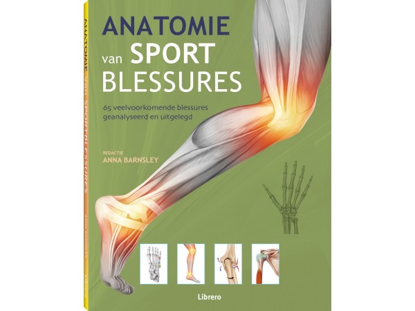 Anatomie van Sport Blessures