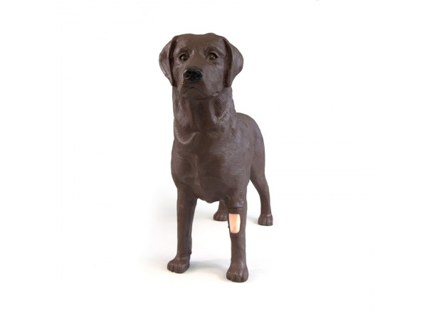 Gynaecologische Trainingshond Bella