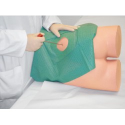 Intramusculaire Punctie en Biopsie Trainingsmodel