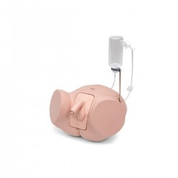 Pro Katheterisatie Simulator Man Pro Katheterisatie Simulator Man