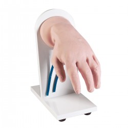 Oefenmodel Intraveneuze Injectie Hand  Oefenmodel Intraveneuze Injectie Hand