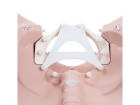 Bevallingfases Simulatie Trainer