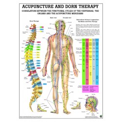 Acupunctuur en Dorn-Therapie Poster Acupunctuur en Dorn-Therapie Poster