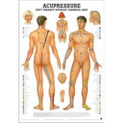 Acupressuur Poster