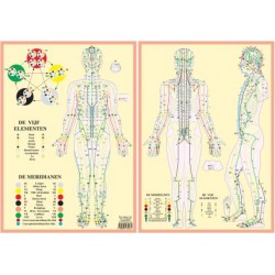 Meridianen en de Vijf elementen A3 Kaart Nederlands Meridianen en de Vijf elementen A3 Kaart Nederlands