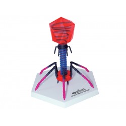 4D Bacteriofaag Model, 13-delig, 18 cm
