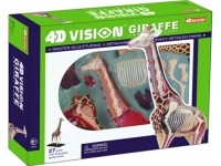 4D Giraffe Model, 27-delig, 36 cm