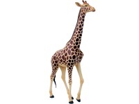 4D Giraffe Model, 27-delig, 36 cm