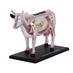 4D Koe Model, 29-delig, 17,5 cm