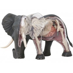 4D Olifant Model, 27-delig, 24,5 cm