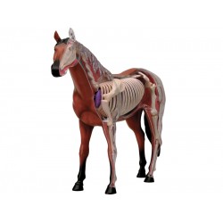 4D Paard Model, 26-delig, 18,5 cm 4D Paard Model, 26-delig, 18,5 cm