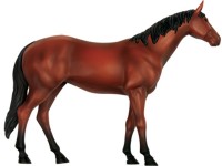 4D Paard Model, 26-delig, 18,5 cm