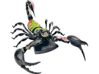 4D Schorpioen Model, 29-delig, 34 cm