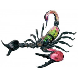 4D Schorpioen Model, 29-delig, 34 cm