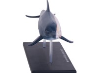 4D Dolfijn Model, 18-delig, 23 cm