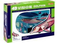 4D Dolfijn Model, 18-delig, 23 cm