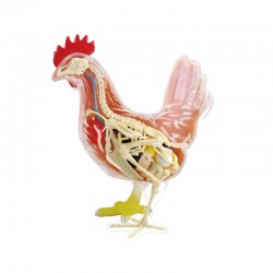 4D Kip Model, 30-delig, 16 cm