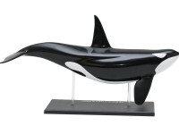 4D Orka Model, 16-delig, 38 cm
