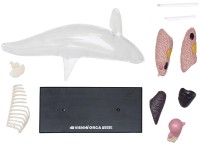 4D Orka Model, 16-delig, 38 cm