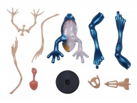 4D Pijlgifkikker Model, 17-delig, 25 cm