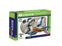 4D Pijlgifkikker Model, 17-delig, 25 cm