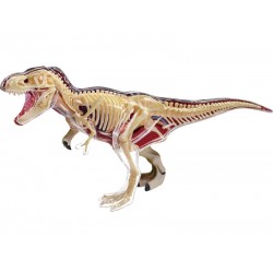 4D T-Rex Model, 36-delig, 28 cm
