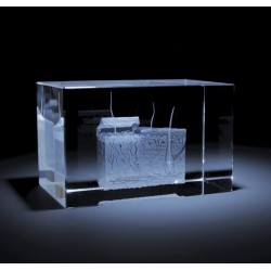 Anatomie Glasblok Huid Anatomie Glasblok Huid