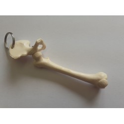 Grote Sleutelhanger Heup met Bovenbeen