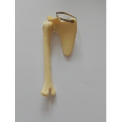 Sleutelhanger Schouder