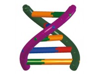 Bouwdoos DNA Dubbele Helix