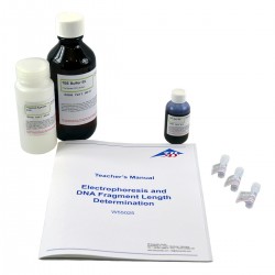 Elektroforese & Lengtebepaling DNA-fragmenten