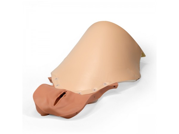 Buik en Vagina voor Post-partumbloeding trainer