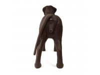 Gynaecologische Trainingshond Bella