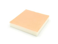 IM Injectie Model Hond en Kat