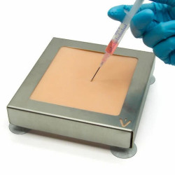 IM Injectie Model Hond en Kat