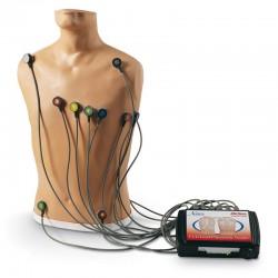 ECG Trainingsmodel ECG Trainingsmodel
