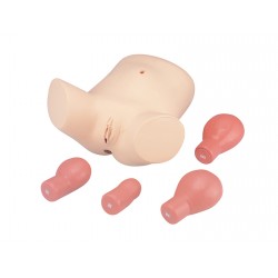 Postnataal Onderzoeks- en Verzorgingsmodel